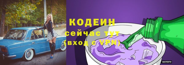 дживик Богородск