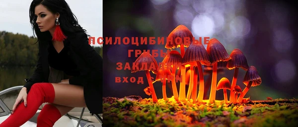 дживик Богородск