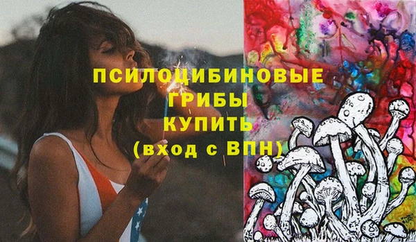 дживик Богородск
