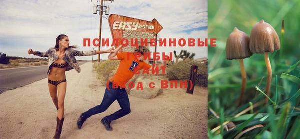 мдма Богородицк