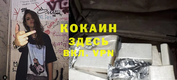 дживик Богородск