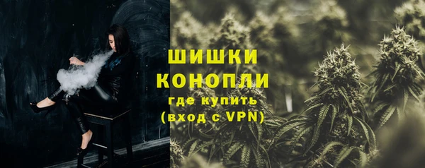 дживик Богородск