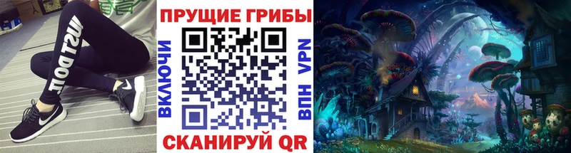 Псилоцибиновые грибы Psilocybine cubensis  цены наркотик  Могоча 